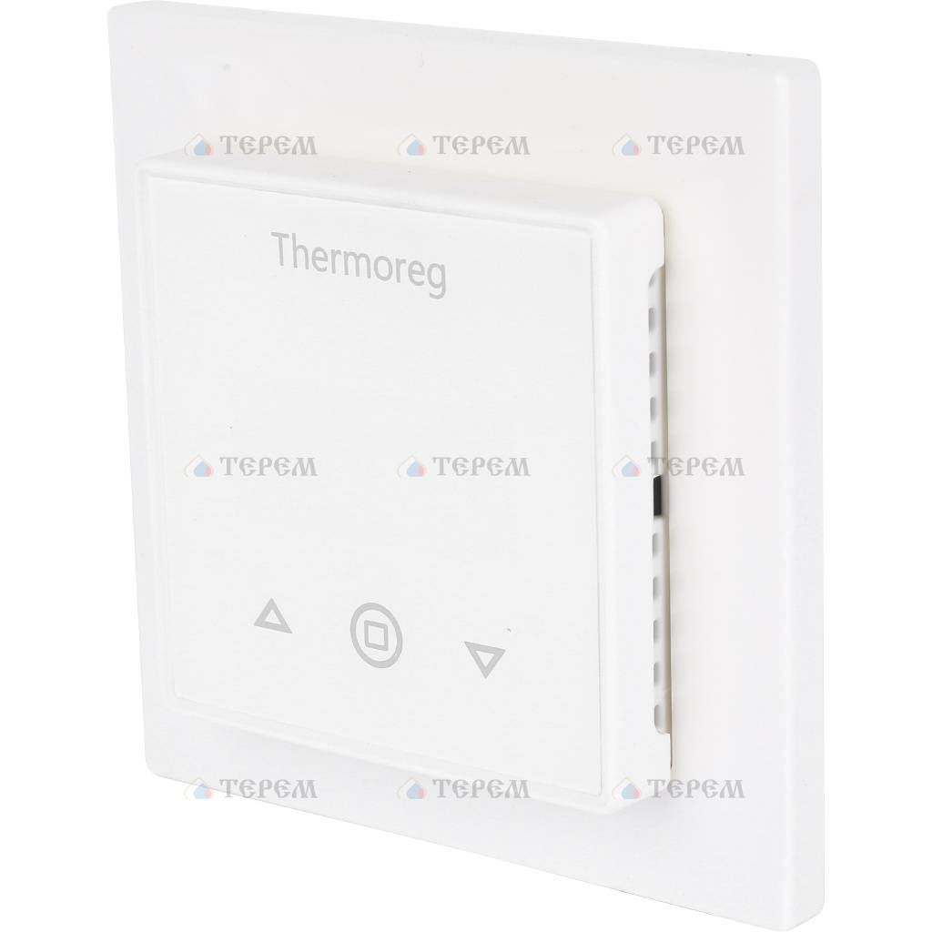 THERMO  Терморегулятор THERMOREG TI-300